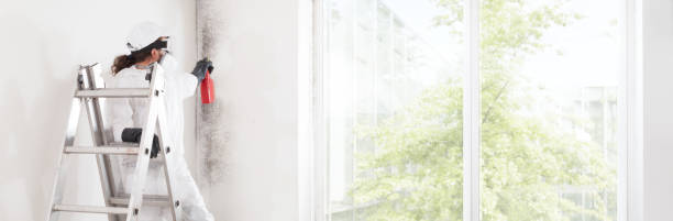 Best Forensic Mold Investigation  in Muskegon Heights, MI